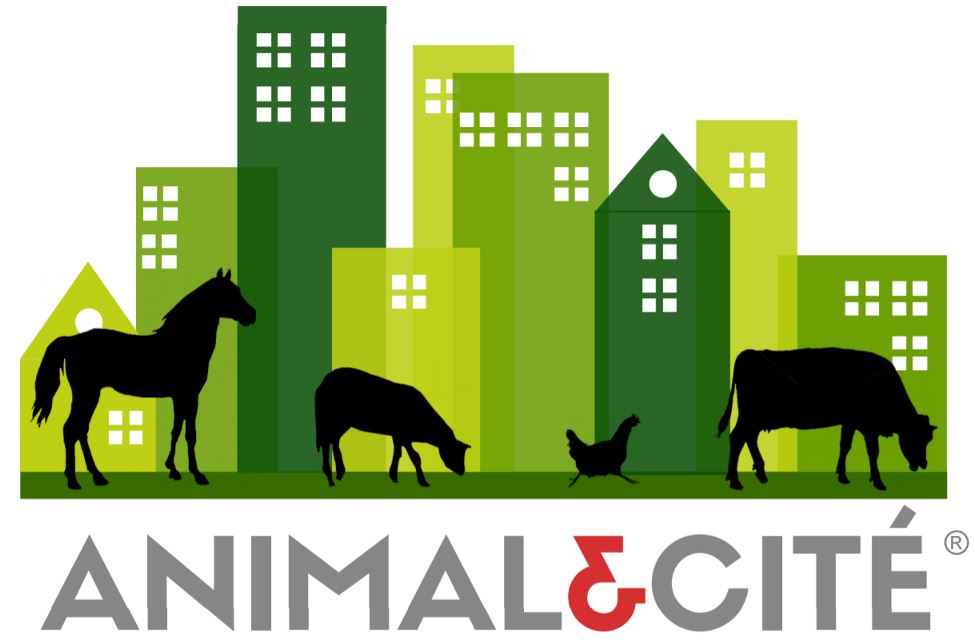 M tiers Blog De Animal Cit 